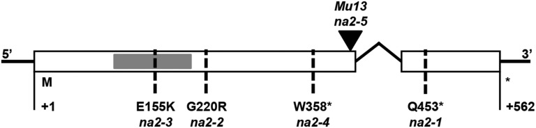 Figure 2.