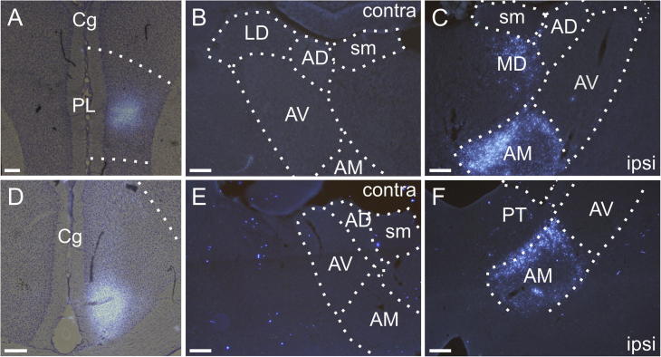 Fig. 9