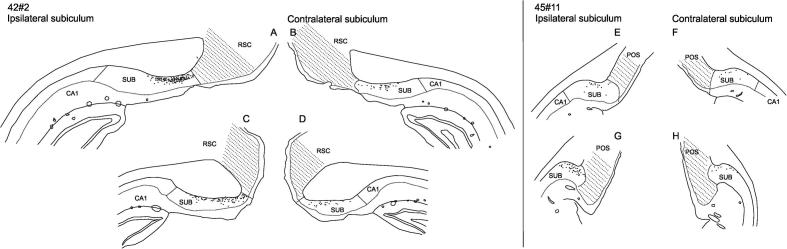 Fig. 11