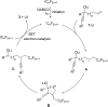 Scheme 3