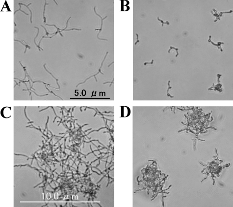 FIG. 7.