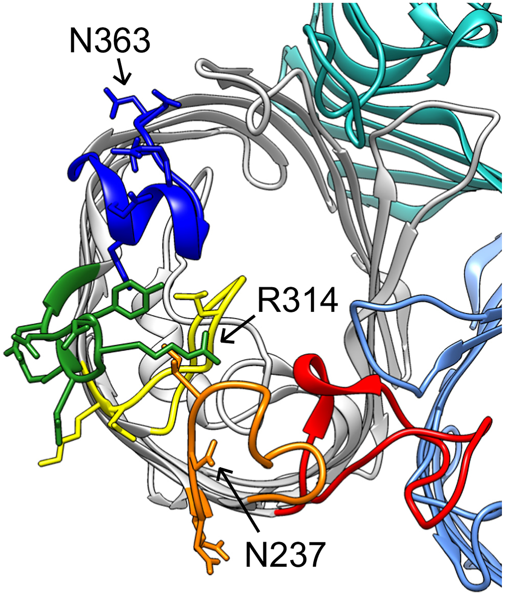 Fig. 2.