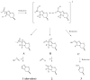 Fig. 2