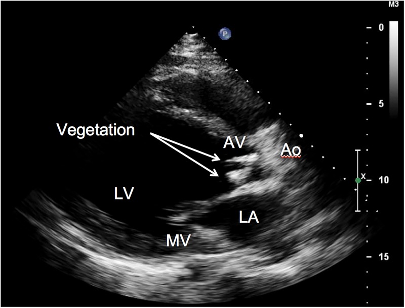 Figure 1