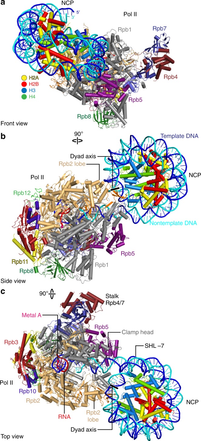 Fig. 1