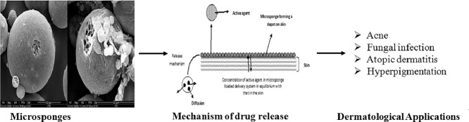 Image, graphical abstract