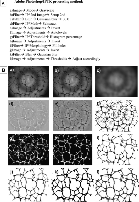 APPENDIX FIG. 2.