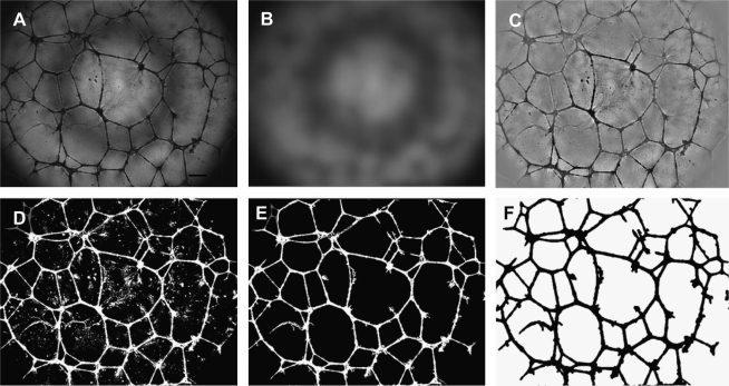 FIG. 1.