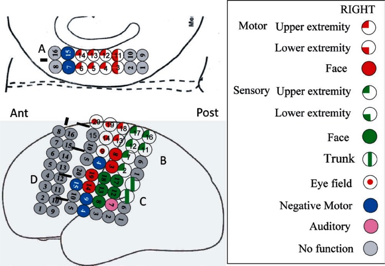 Fig. 3