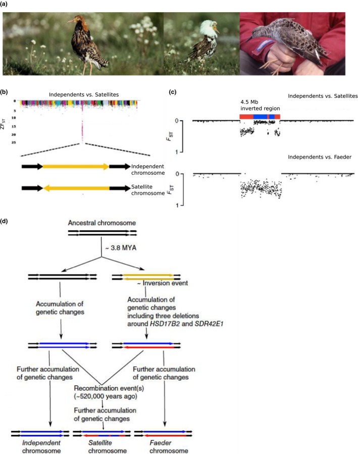 Figure 2