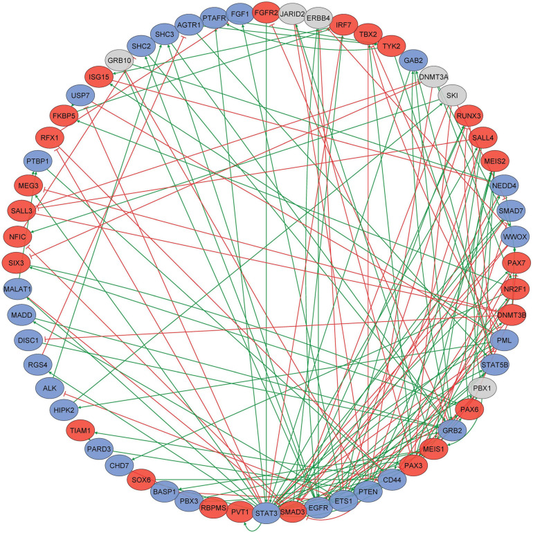 FIGURE 3