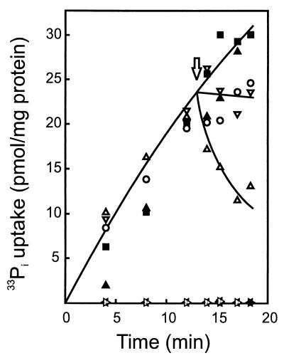 FIG. 5