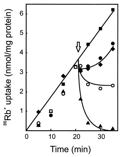 FIG. 6