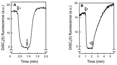 FIG. 1