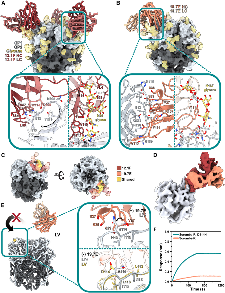 Figure 4