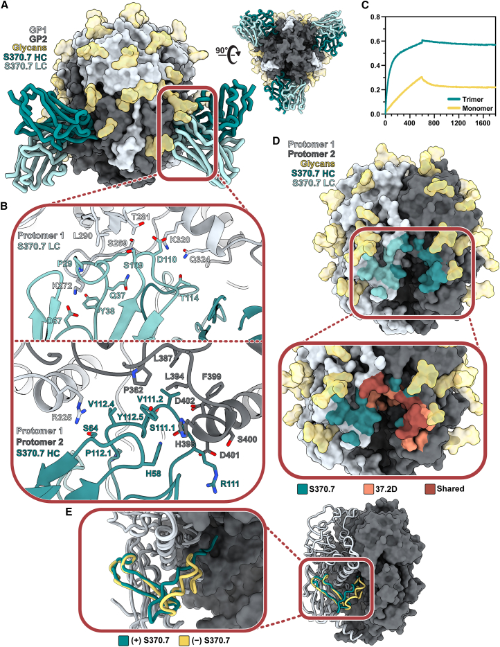 Figure 6