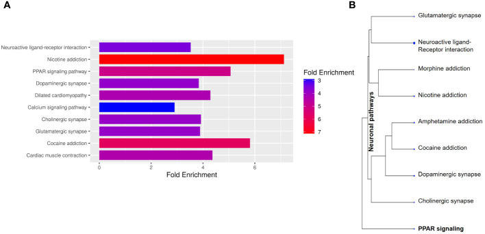 Figure 2