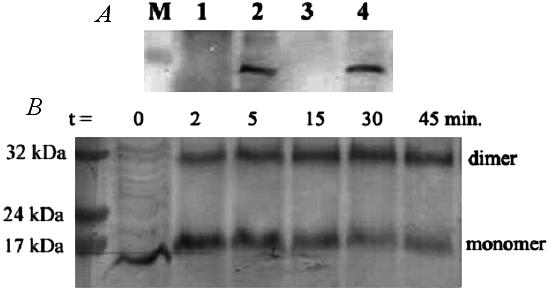 FIG. 6.