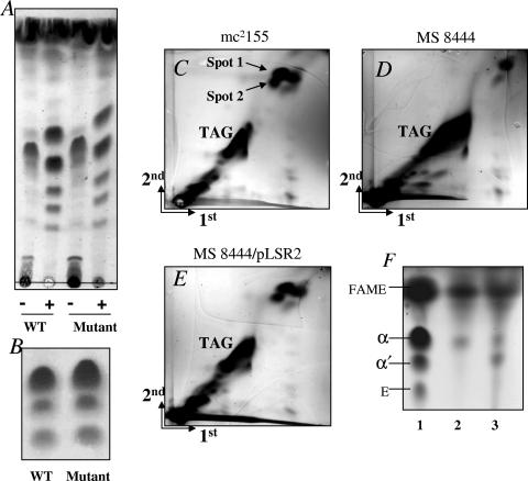 FIG. 4.