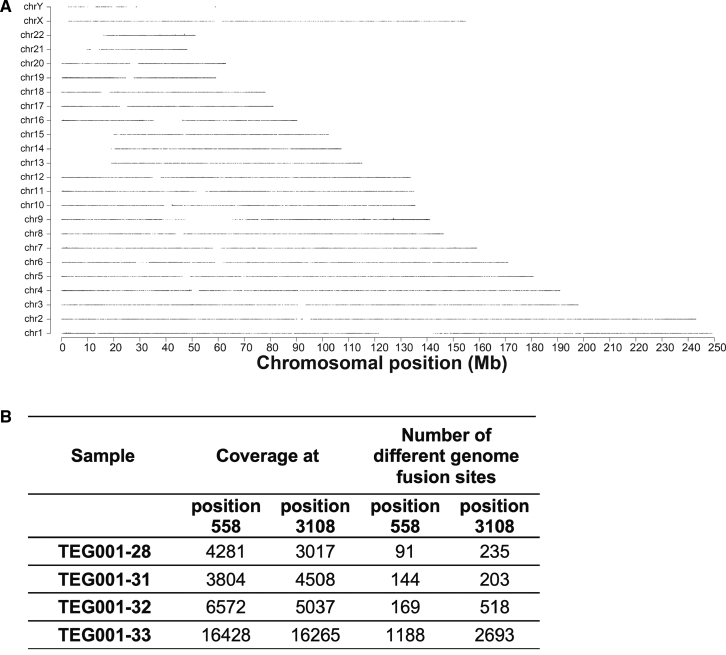 Figure 4