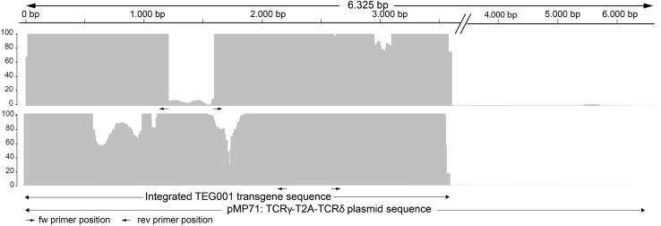 Figure 3