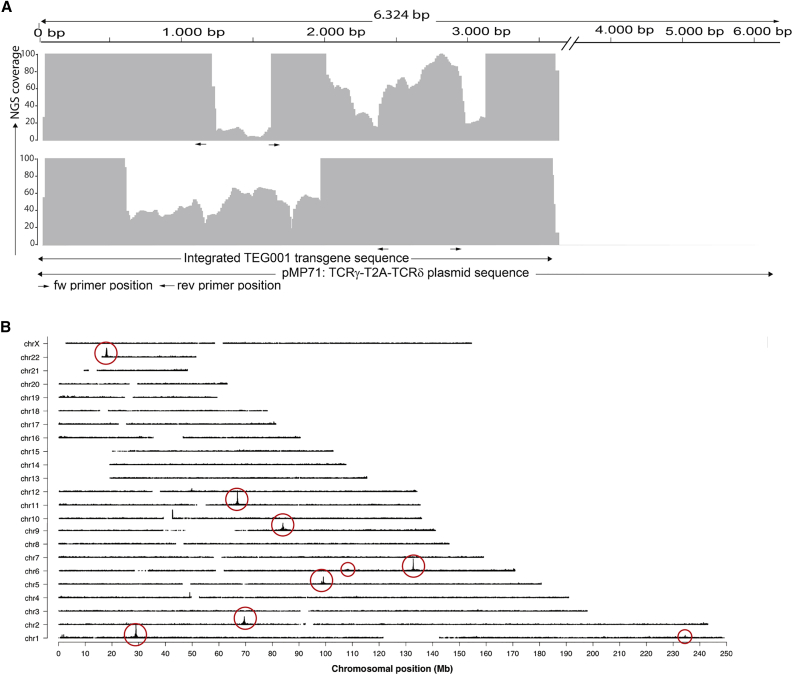 Figure 1