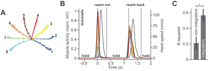 Figure 1—figure supplement 1.