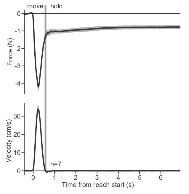 Figure 3—figure supplement 1.