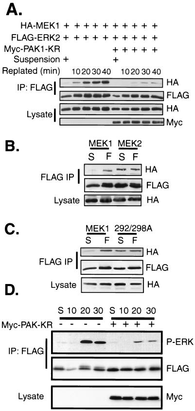 FIG. 7.