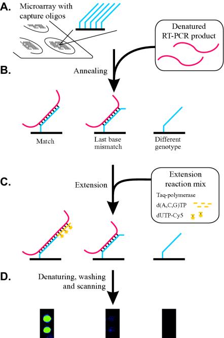 FIG. 1.