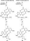 Scheme 5