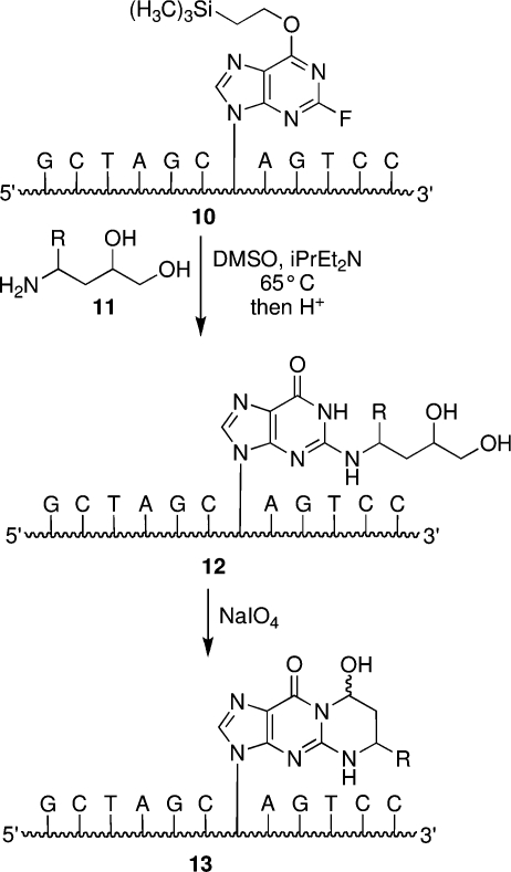 Scheme 2