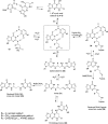 Scheme 4