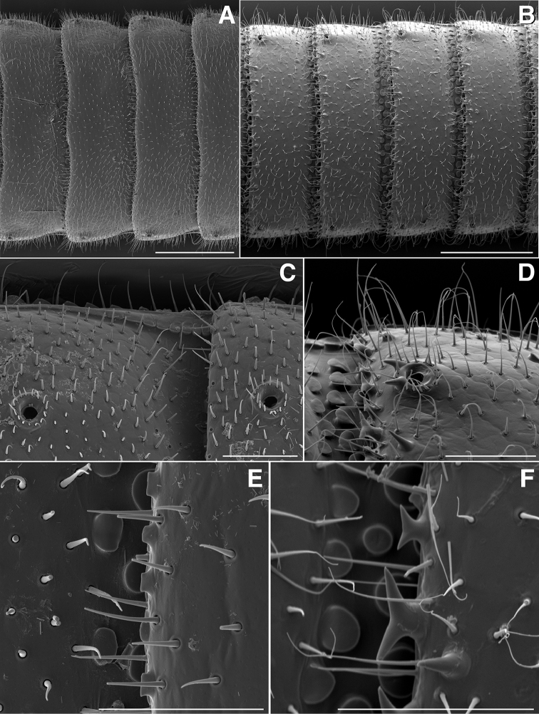 Figure 10.