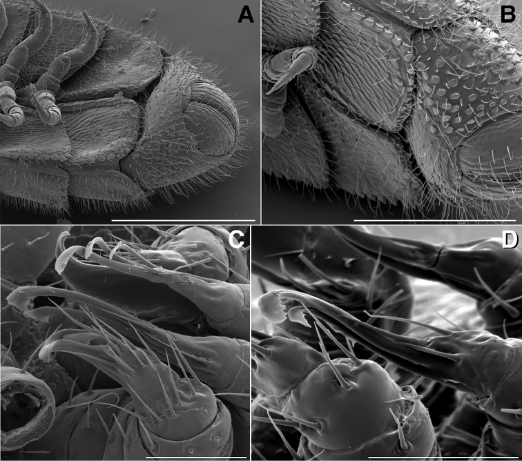 Figure 11.