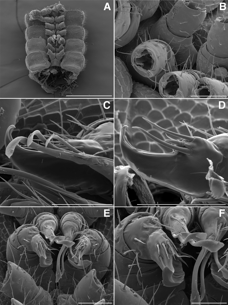 Figure 18.