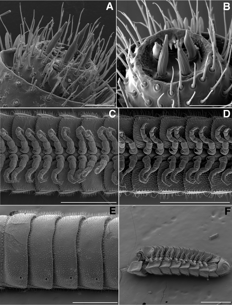 Figure 15.