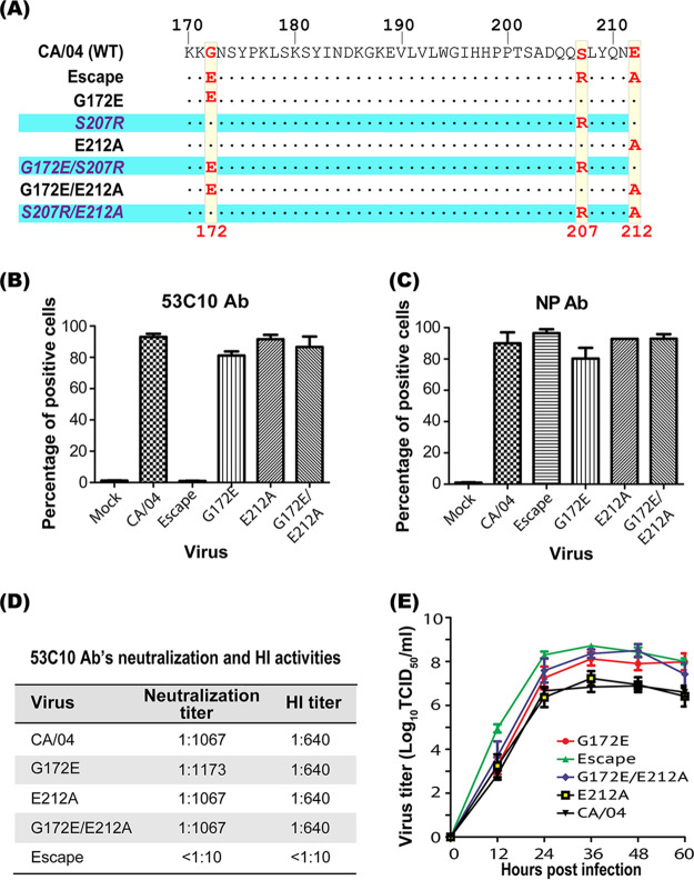 FIG 6