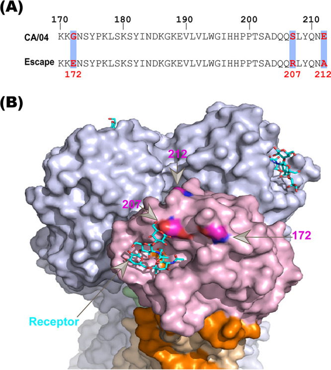 FIG 3