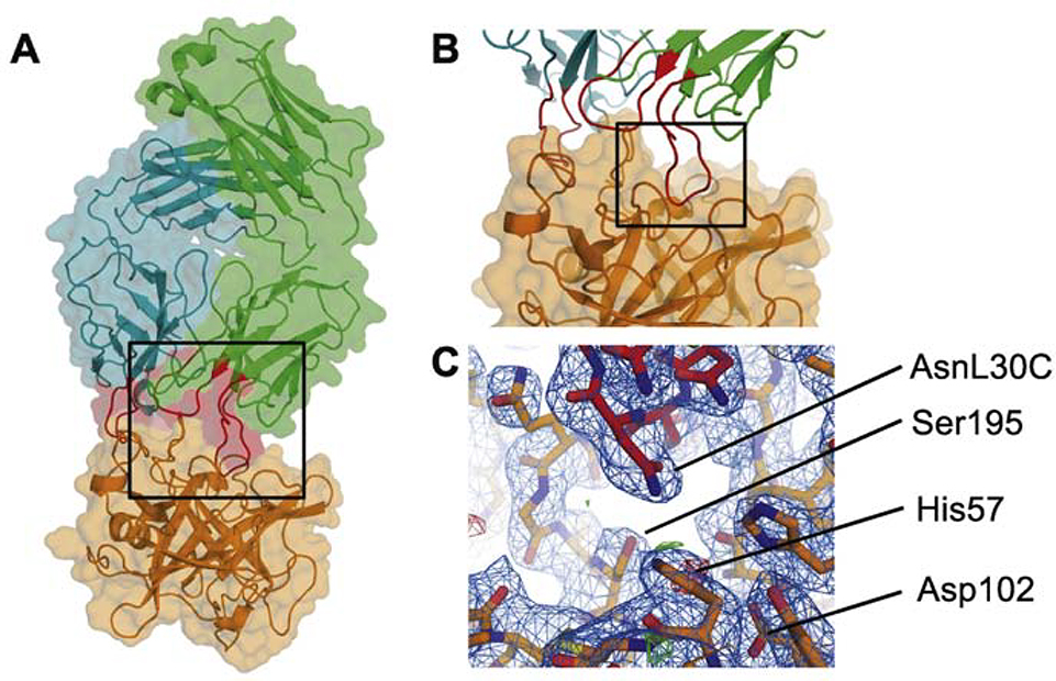 Figure 4: