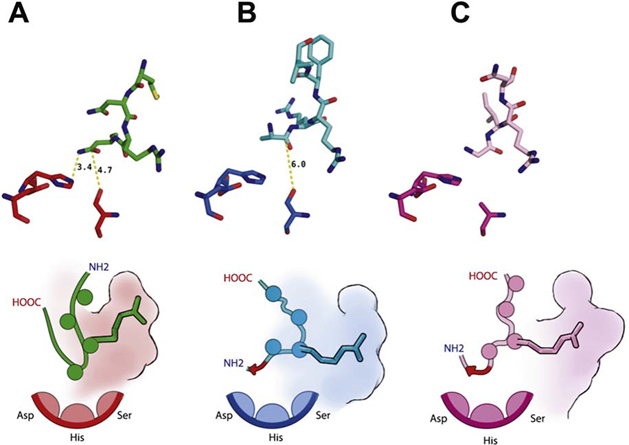 Figure 5: