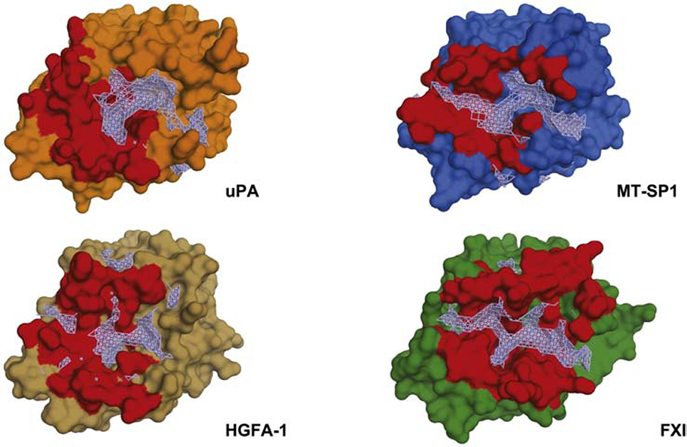 Figure 6: