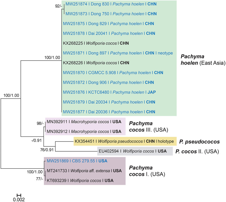 Figure 2