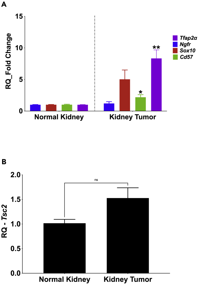 Figure 5