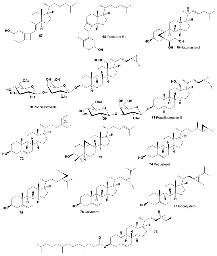 Figure 17