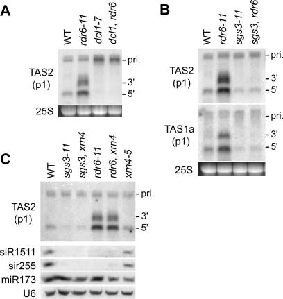 Figure 5.