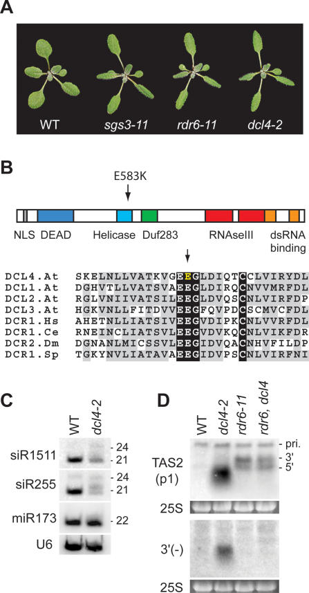 Figure 6.