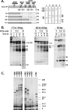 FIG. 2.