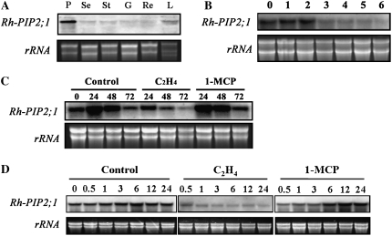 Figure 6.