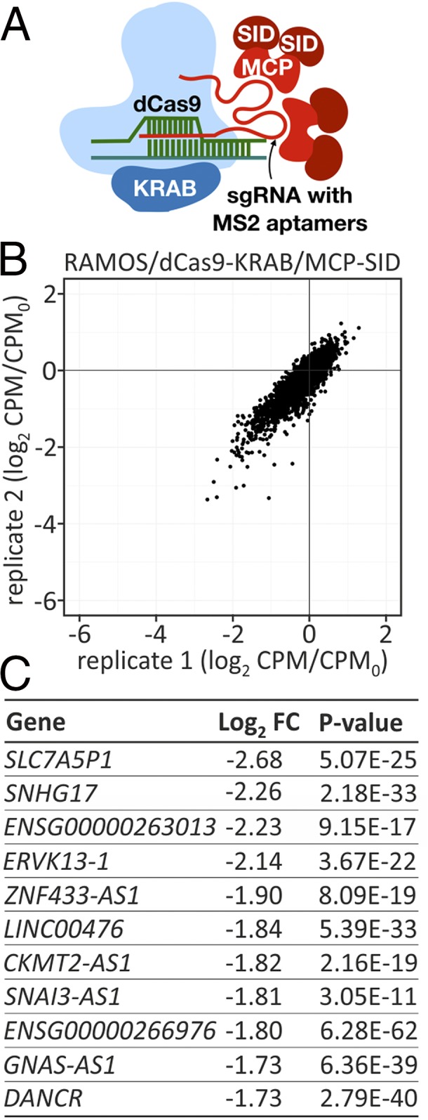 Fig. 5.